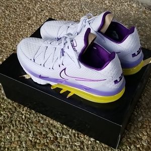 Nike Lebron XVII Low "Playoff Lows"